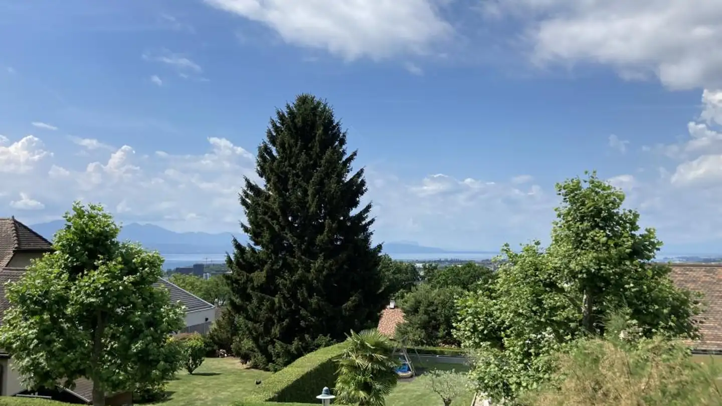 Villa in affitto - 1020 Renens VD - Photo 2