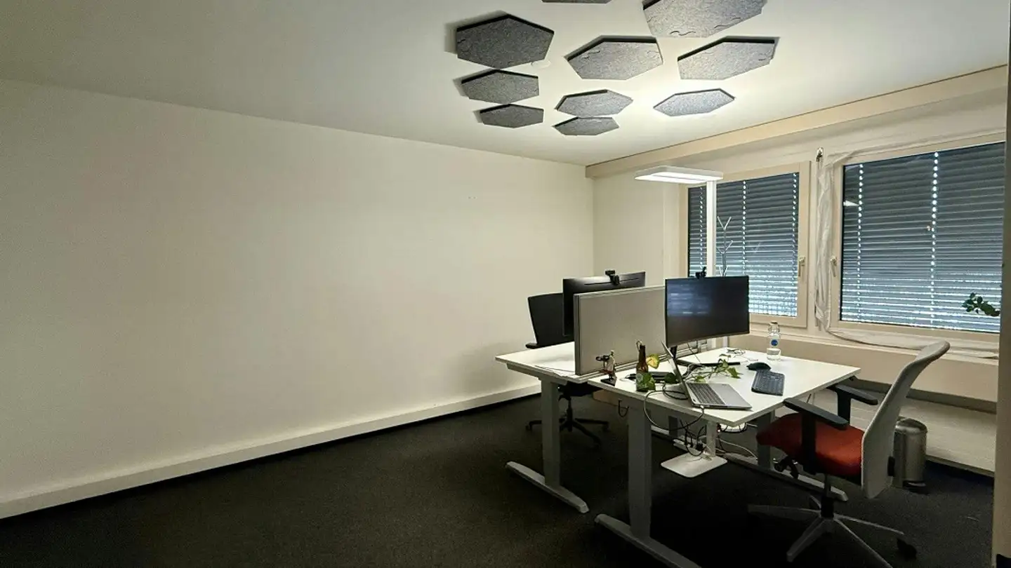 Spazio ufficio in affitto - Harzachstrasse 5, 8404 Winterthur - Foto 4