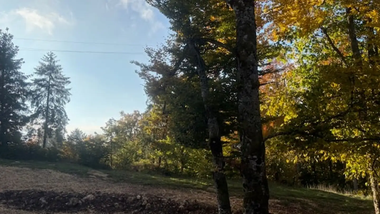 Appartamento in affitto - Route D'arzier 38, 1264 St-Cergue - Foto 3