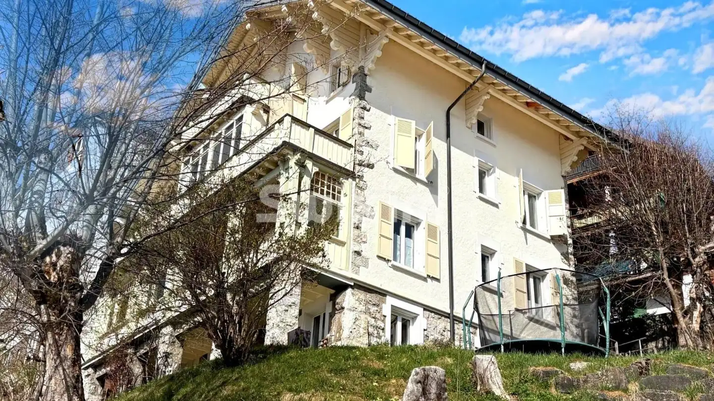 Mixed-use building for sale - 1854 Leysin - Photo 3