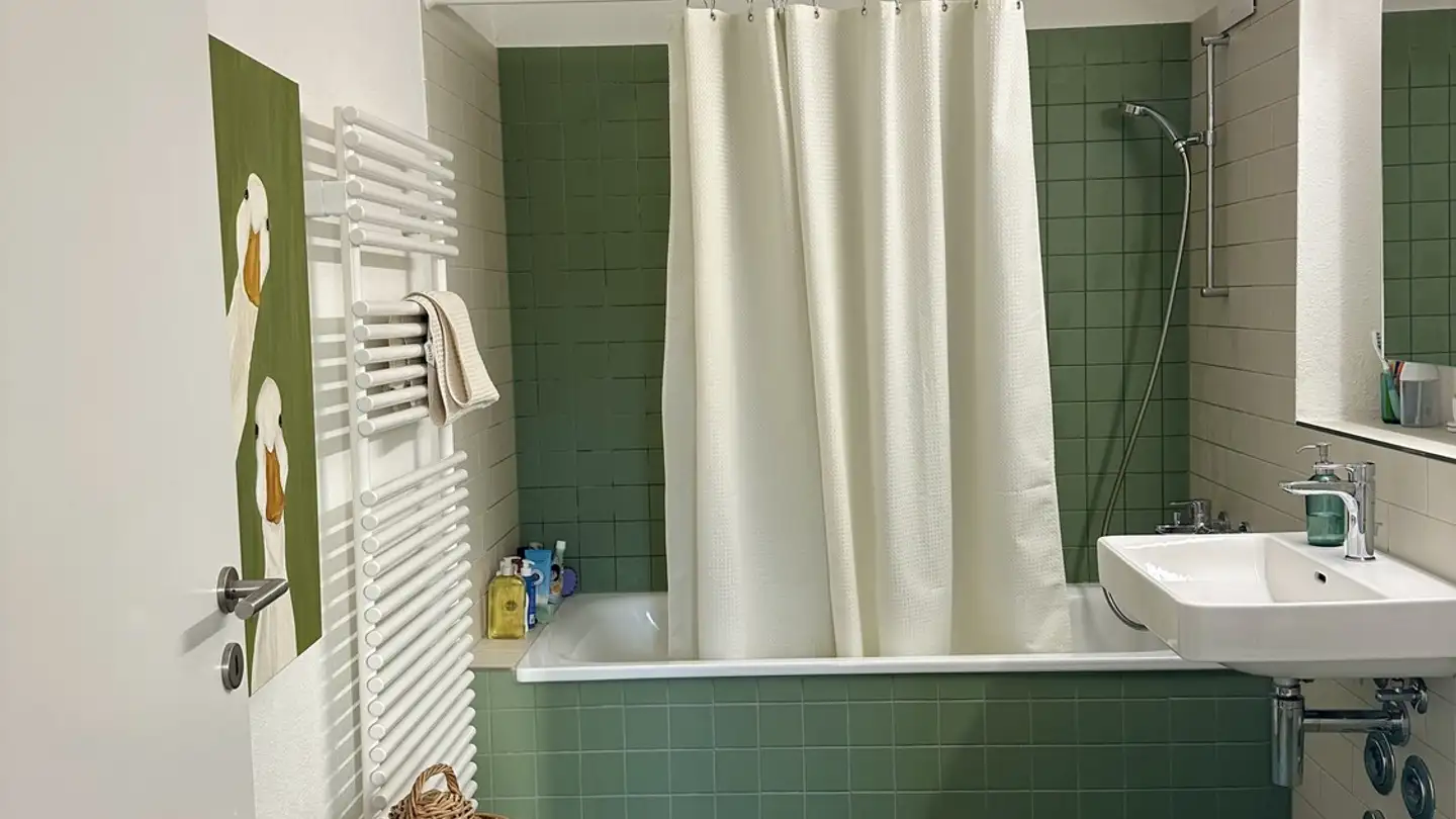 Appartamento in affitto - 8400 Winterthur - Photo 3