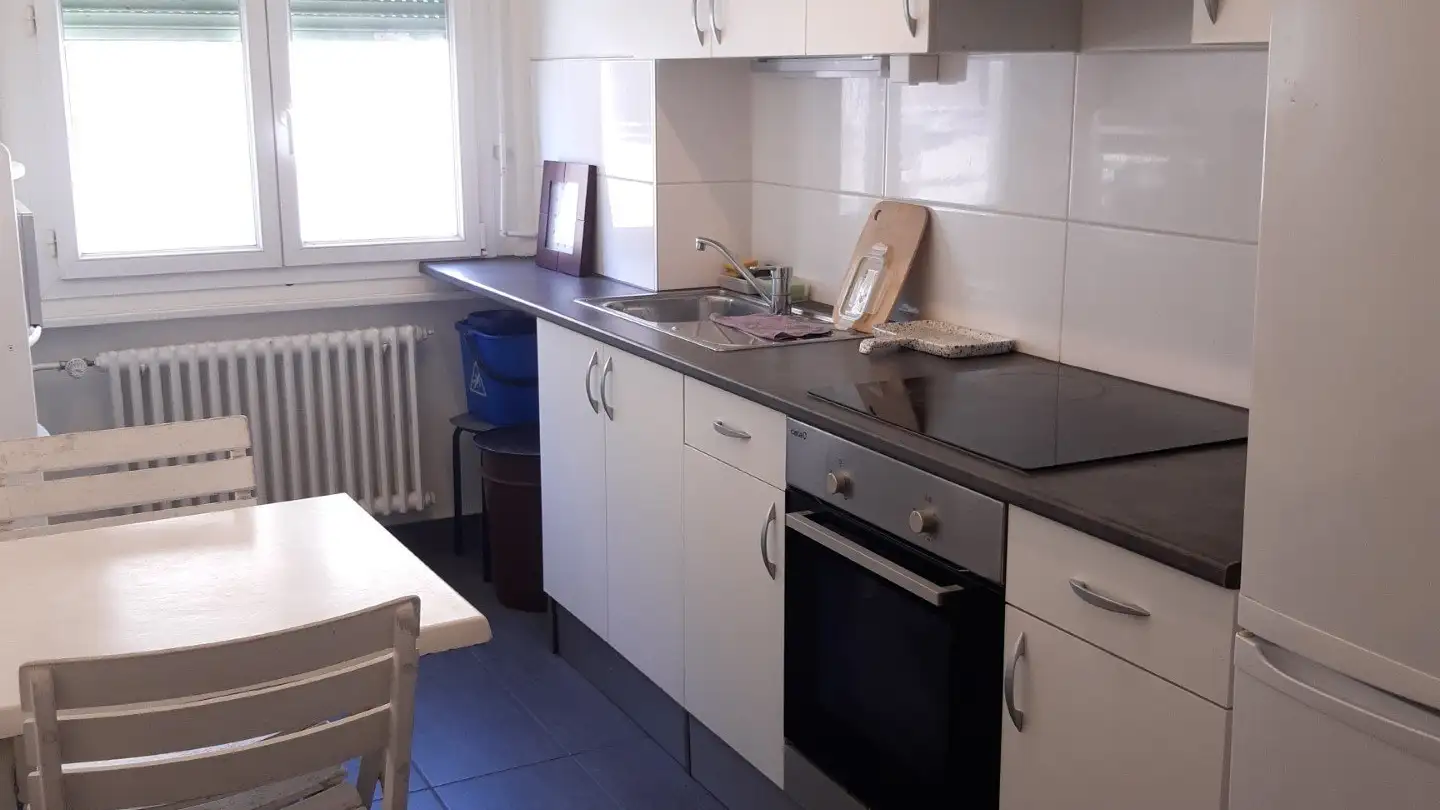 Single room for rent - Rue De L' Indiennerie 5, 1207 Genève - Photo 3