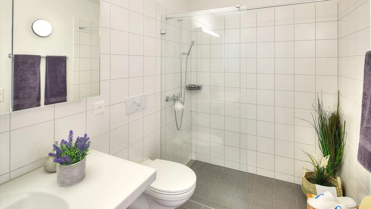 Appartamento in affitto - Hauptstrasse, 5314 Kleindöttingen - Foto 3