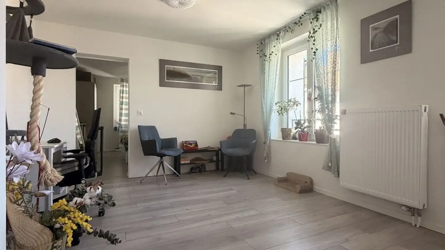 Wohnung mieten - 8810 Horgen