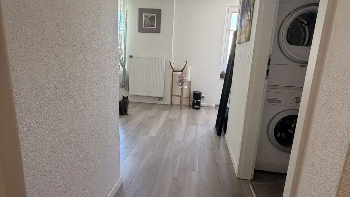 Wohnung mieten - 8810 Horgen - Foto 4