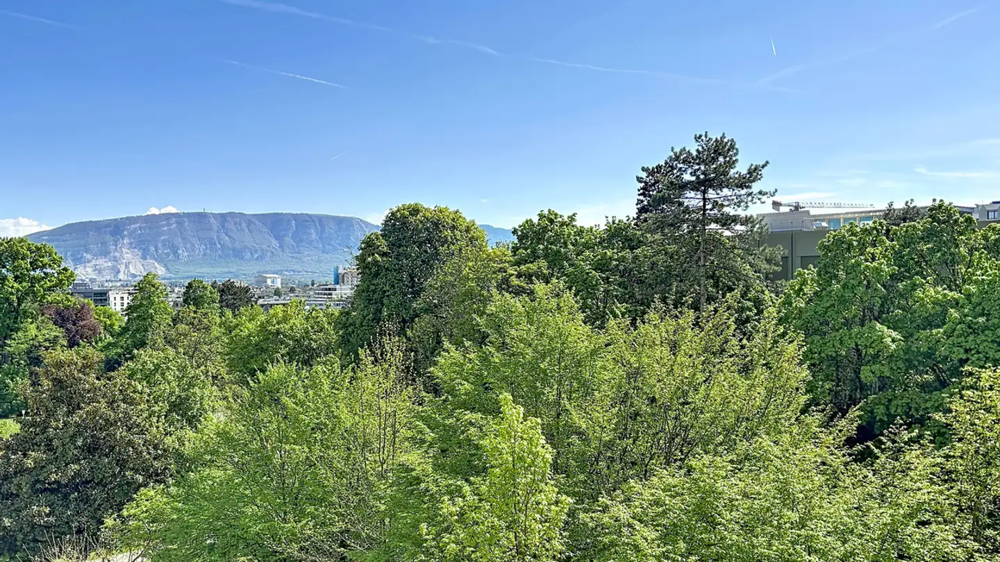 Appartement à vendre - 1209 Genève - Photo 4