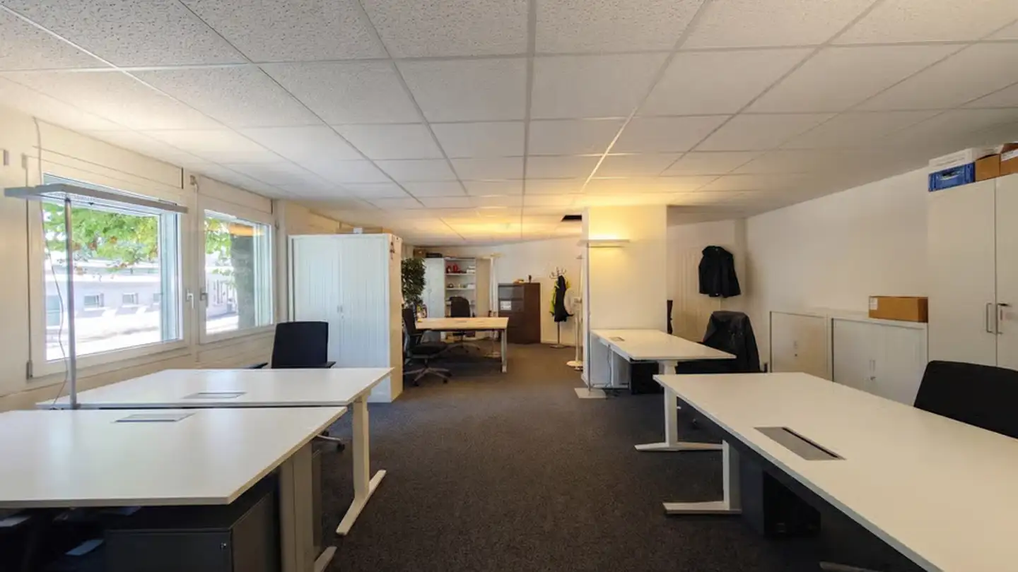 Commerciale in affitto - Chemin Louis-Boissonnet 92, 1010 Lausanne