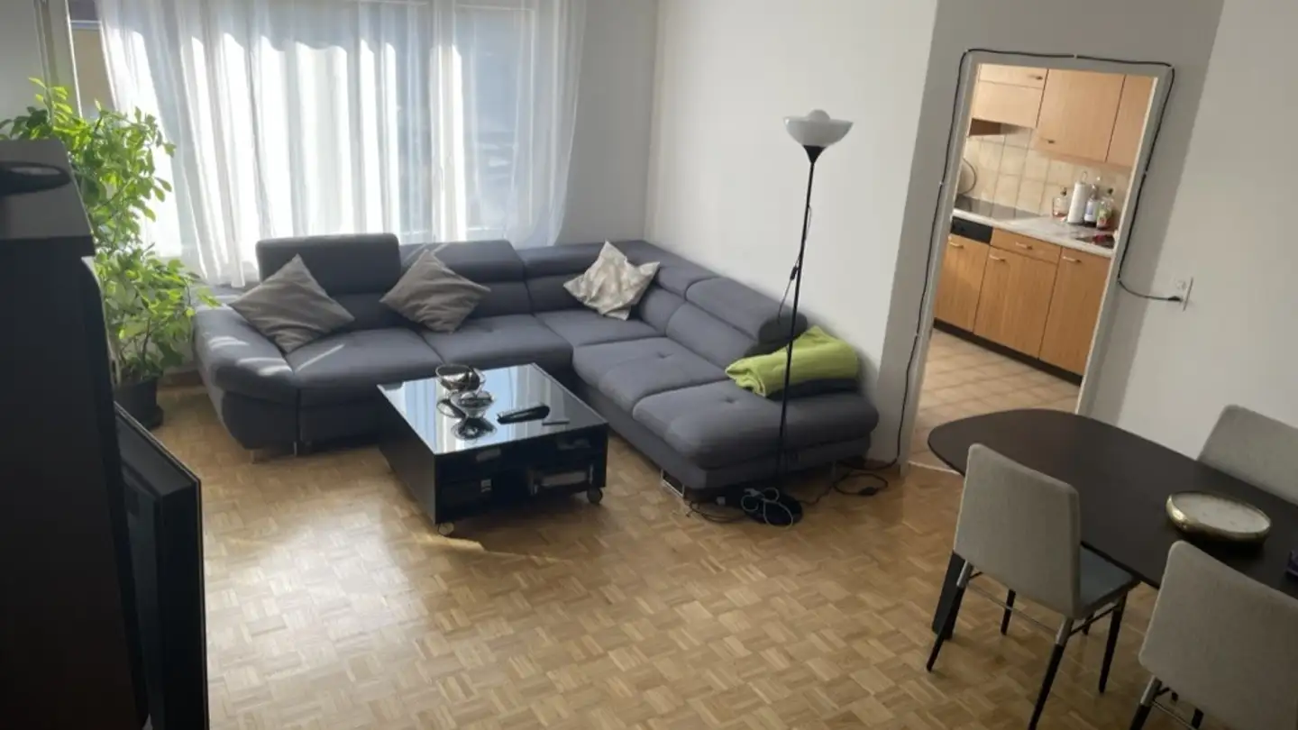 Appartamento in affitto - Schwandenholzstrasse 210, 8046 Zürich - Foto 2