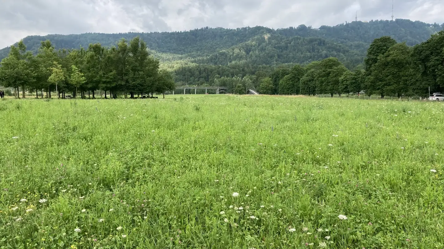 Apartment for rent - 8038 Zürich - Photo 4