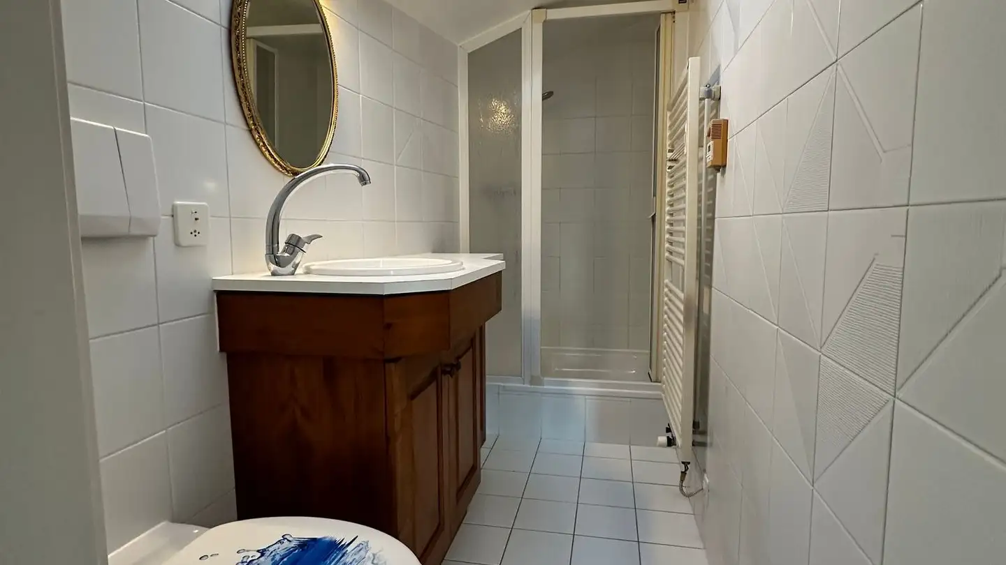 Appartamento in affitto - Chemin De La Plamatte, 1228 Plan-les-Ouates - Foto 4