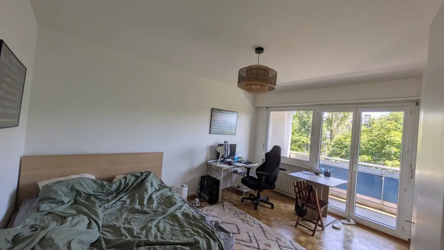 Appartement à louer - Route De Meyrin, 1217 Meyrin - Photo 4
