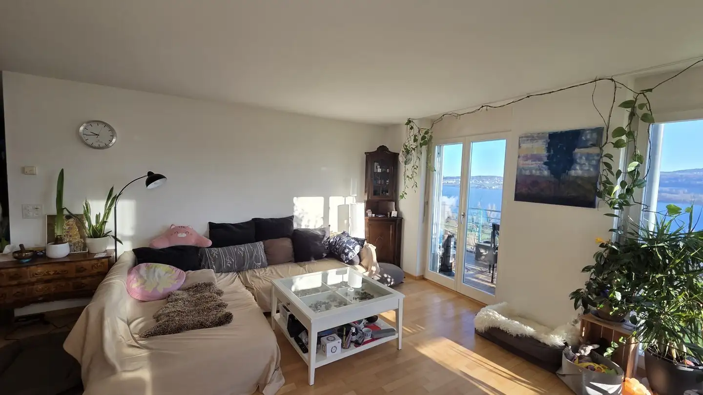 Single room for rent - 5712 Beinwil am See