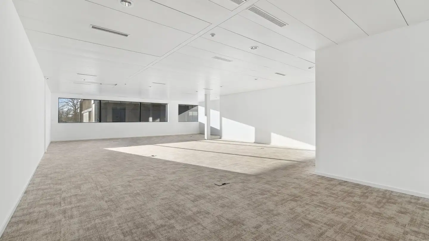 Office space for rent - 1262 Eysins - Photo 4