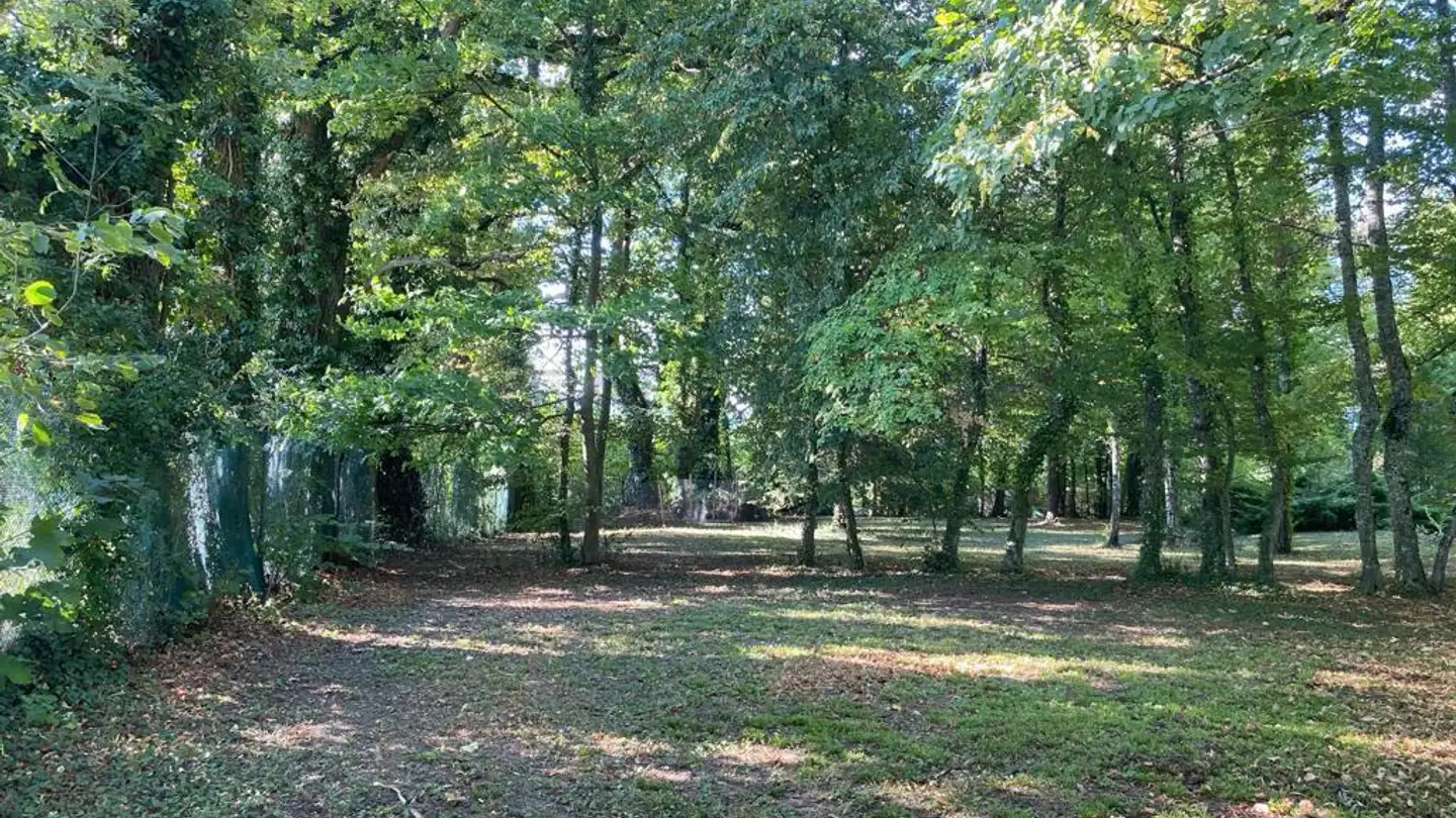 Casa singola in vendita - 1294 Genthod - Photo 4