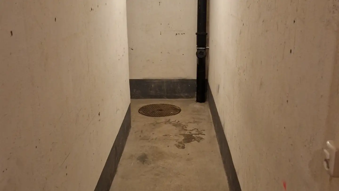 Spazio di archiviazione in affitto - Holeeholzweg, 4102 Binningen - Photo 3