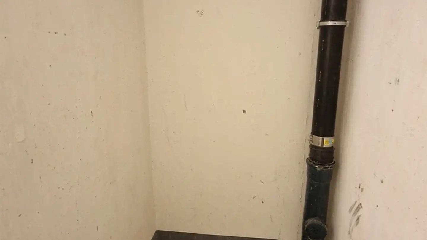 Spazio di archiviazione in affitto - Holeeholzweg, 4102 Binningen - Photo 4