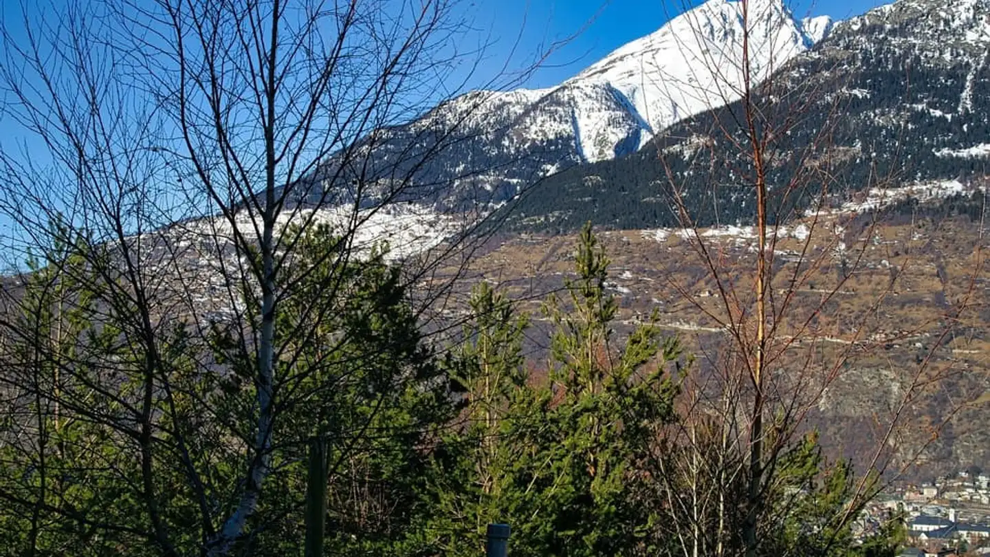 Terreno edificabile in vendita - Riedgassa, 3911 Ried-Brig - Photo 3