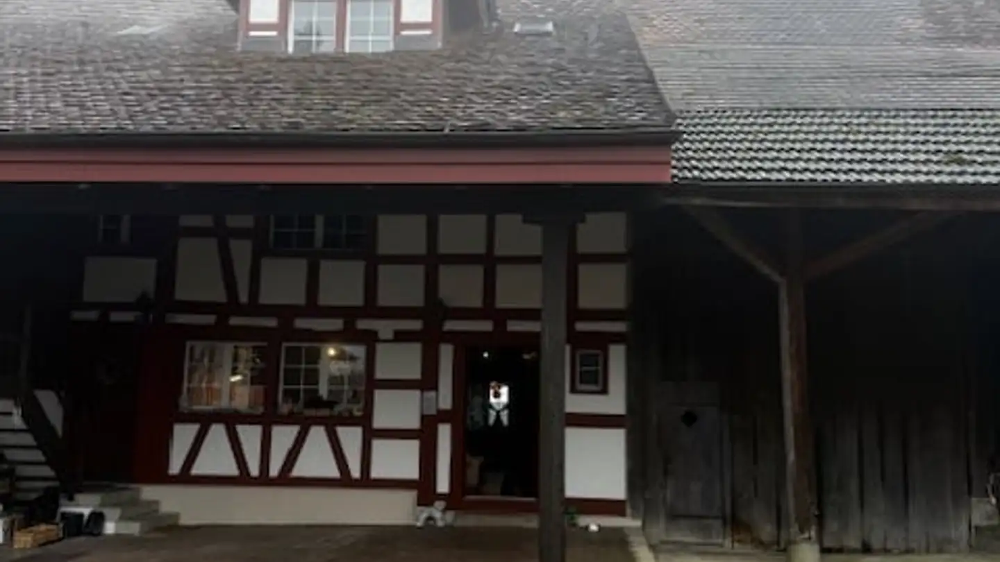 Farm for rent - Burghofstrasse 48, 8157 Dielsdorf - Photo 3