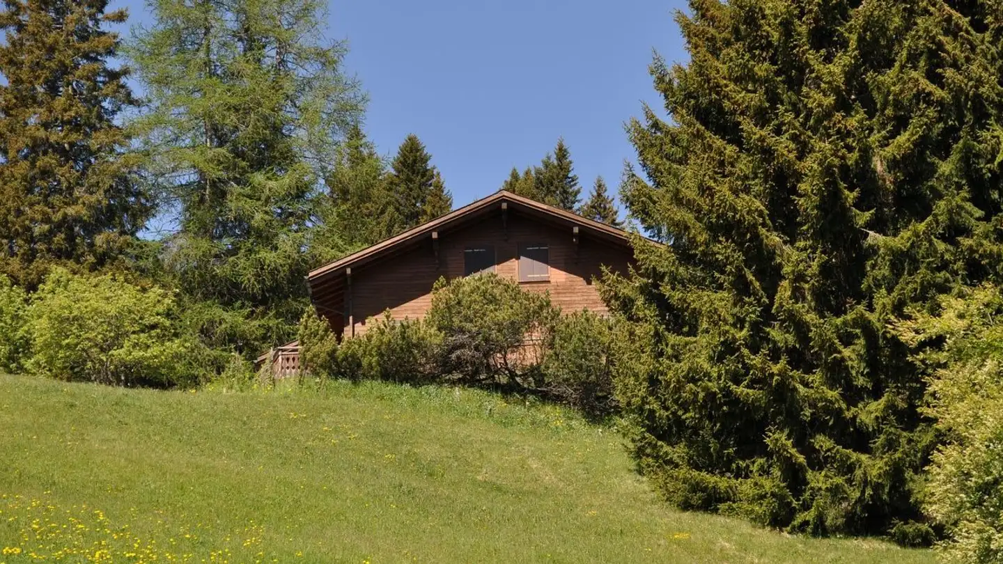 Chalet kaufen - Särrisstutz 22, 7074 Malix