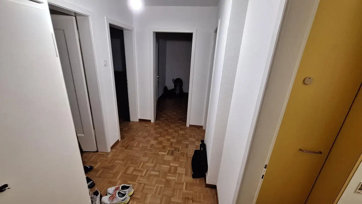 Single room for rent - Greifenseestrasse 49, 8050 Zürich - Photo 3