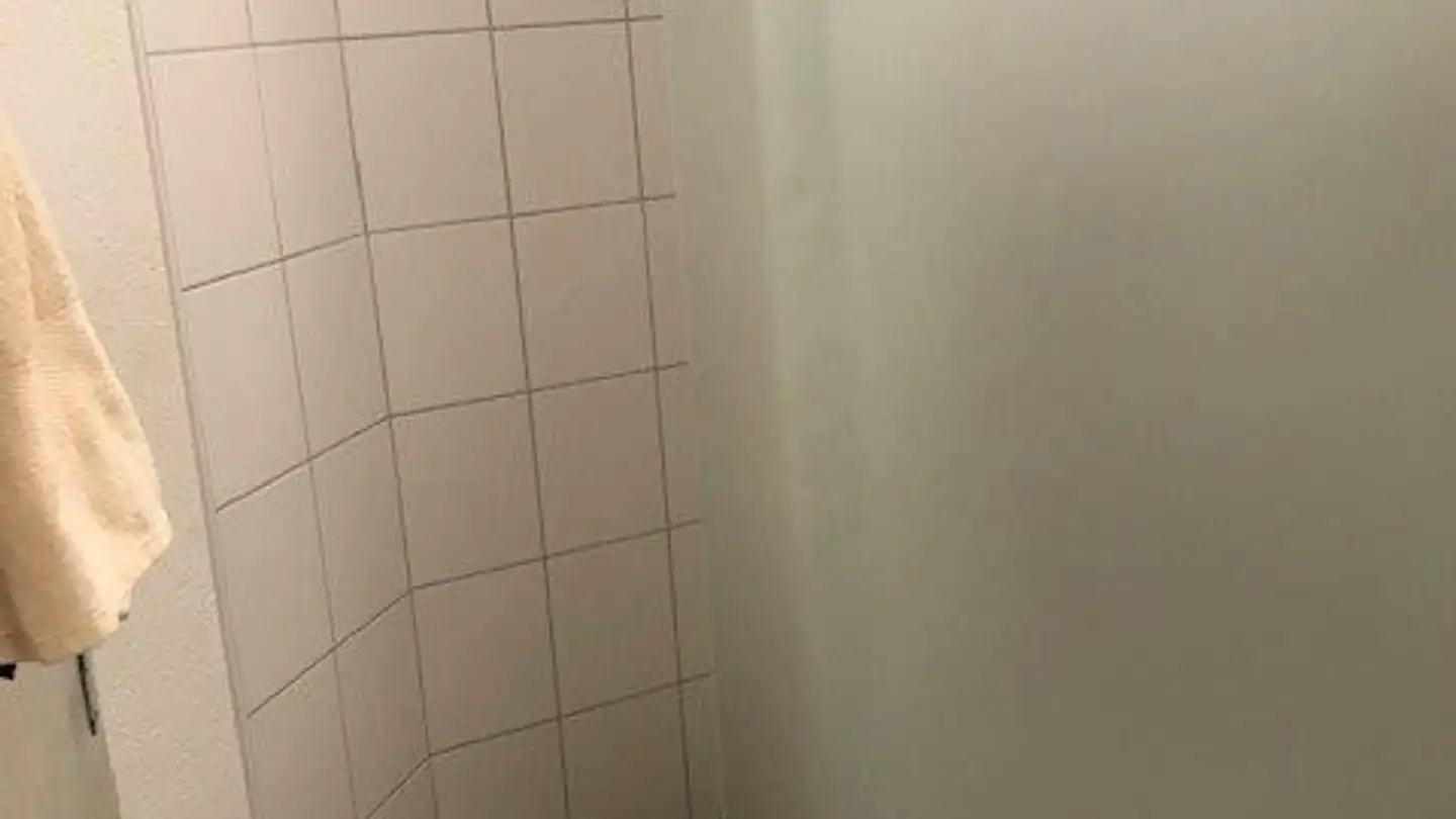 Kaufhaus mieten - Hauptstrasse 9, 9042 Speicher - Foto 3