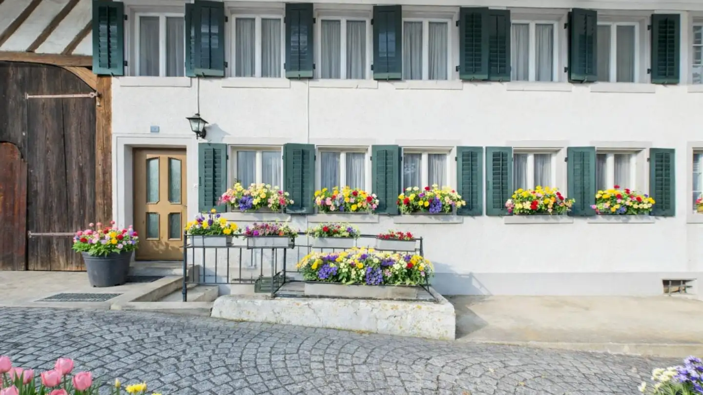 Single house for sale - Ringstrasse 7, 5415 Nussbaumen AG