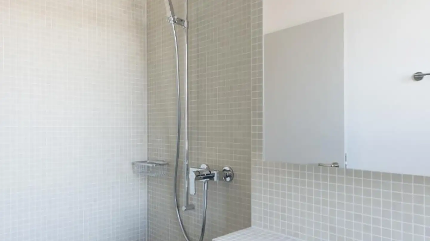 Wohnung mieten - Güterstrasse 4, 8952 Schlieren - Foto 4