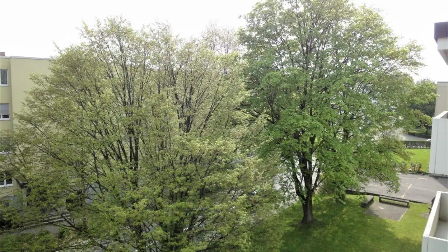 Appartamento in affitto - Wuhrstrasse 9, 8580 Amriswil - Foto 2