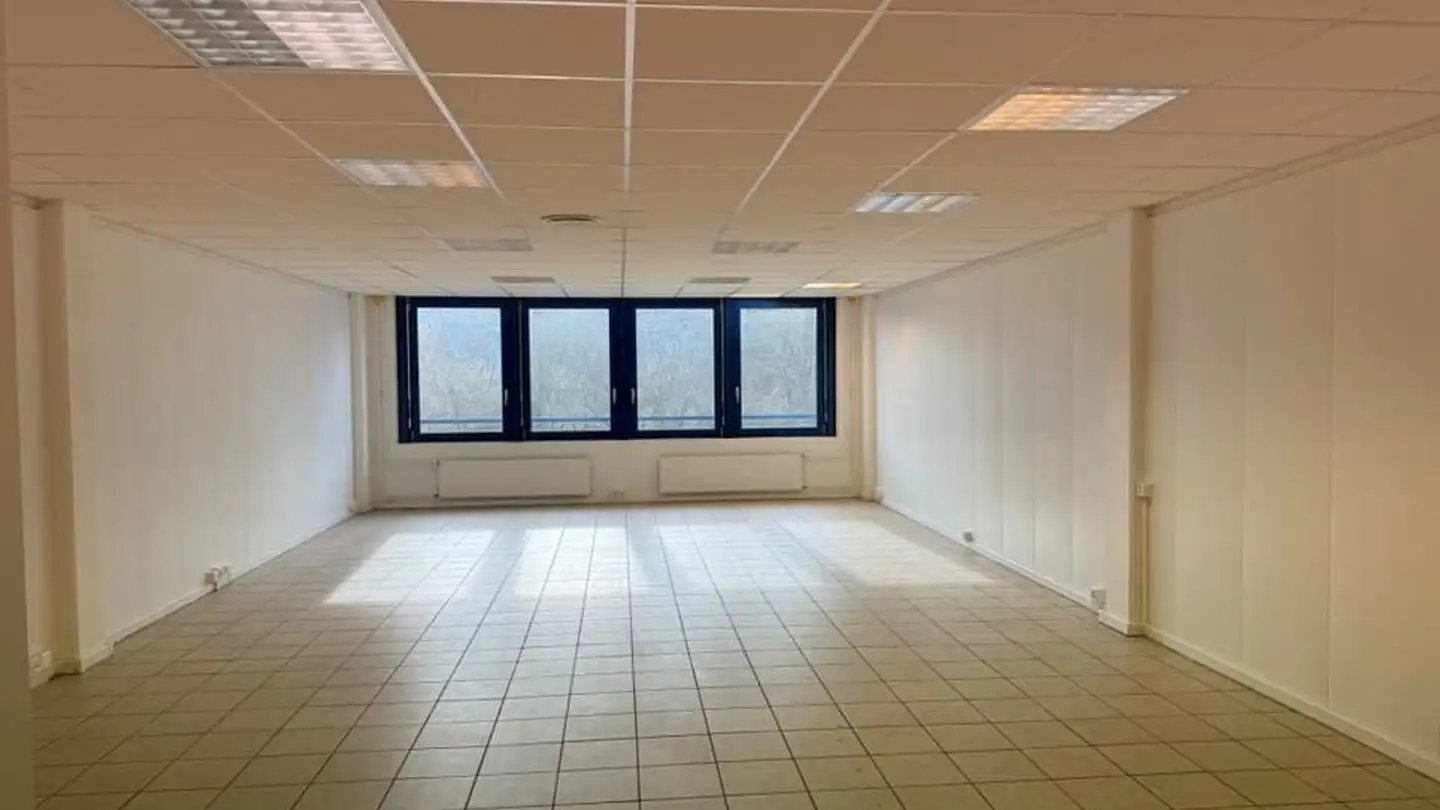 Gewerbe mieten - Route De Suisse 7, 1295 Mies - Foto 2