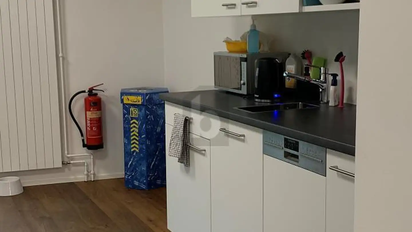 Office space for rent - 4057 Basel - Photo 4