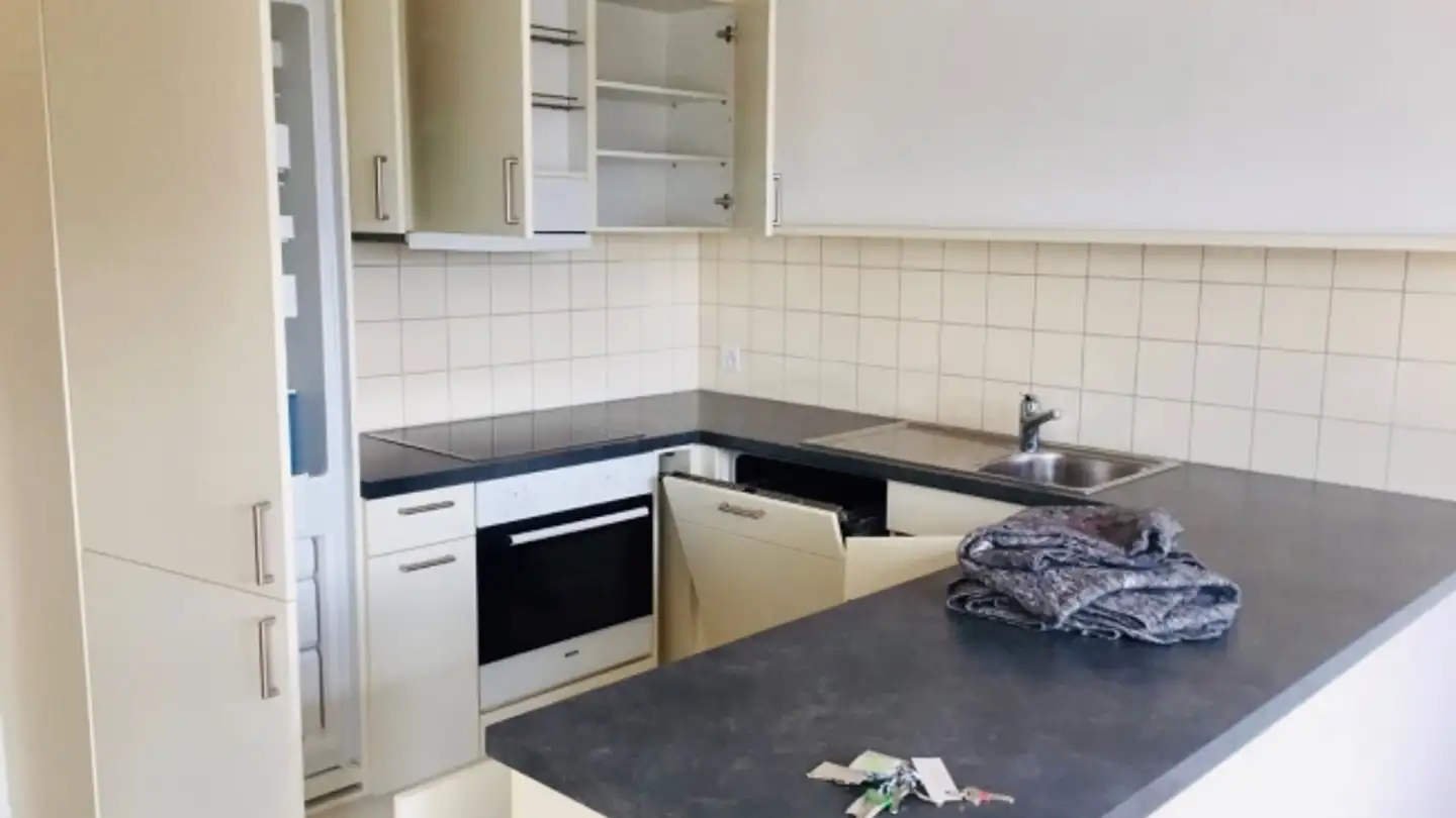 Appartamento in affitto - 8610 Uster - Photo 4