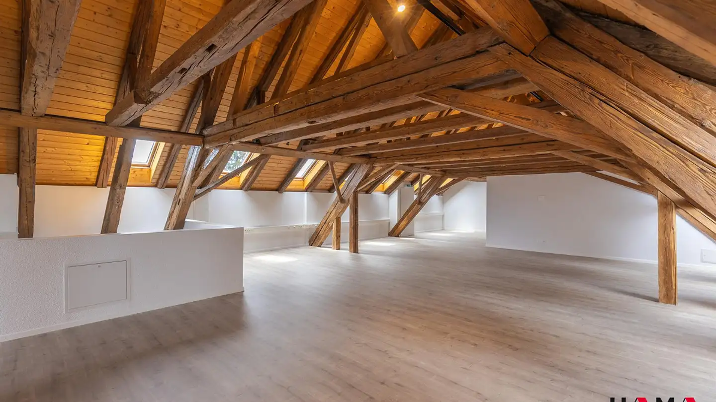 Loft in affitto - Luzernerstrasse 12, 4665 Oftringen