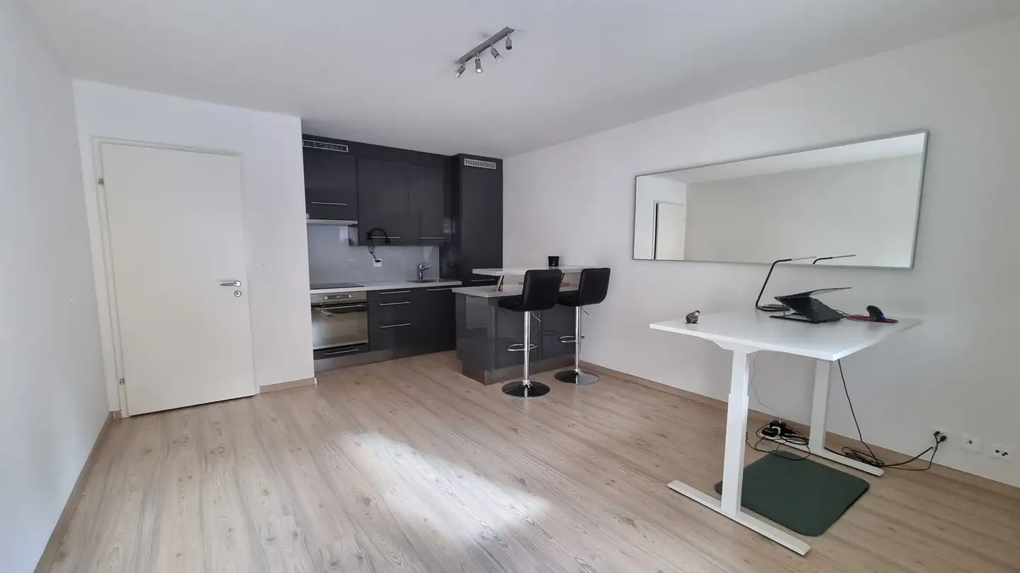 Appartamento in affitto - 4053 Basel