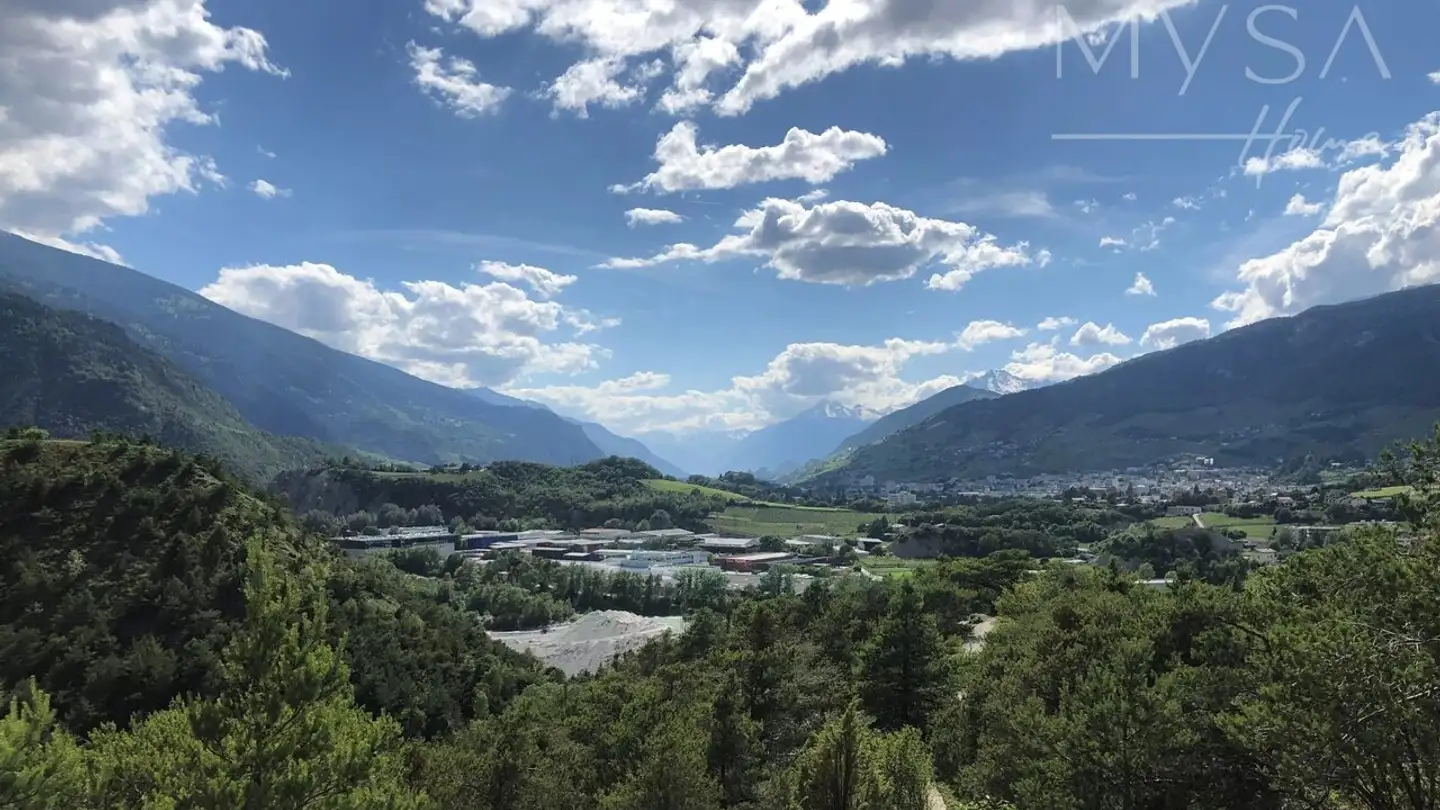 Commercial for sale - 3960 Sierre - Photo 2