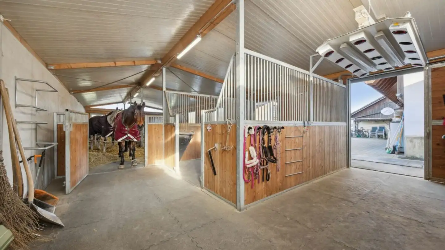 Terreno edificabile industriale in vendita - Wolfgrubenstrasse 52, 5742 Kölliken - Photo 2