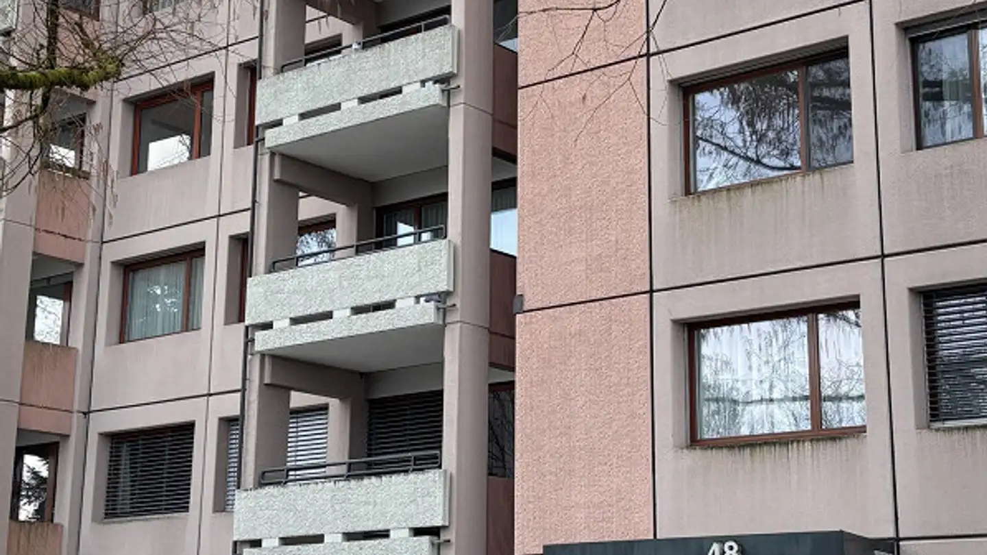 Appartement à louer - Röhrliberg 48, 6330 Cham