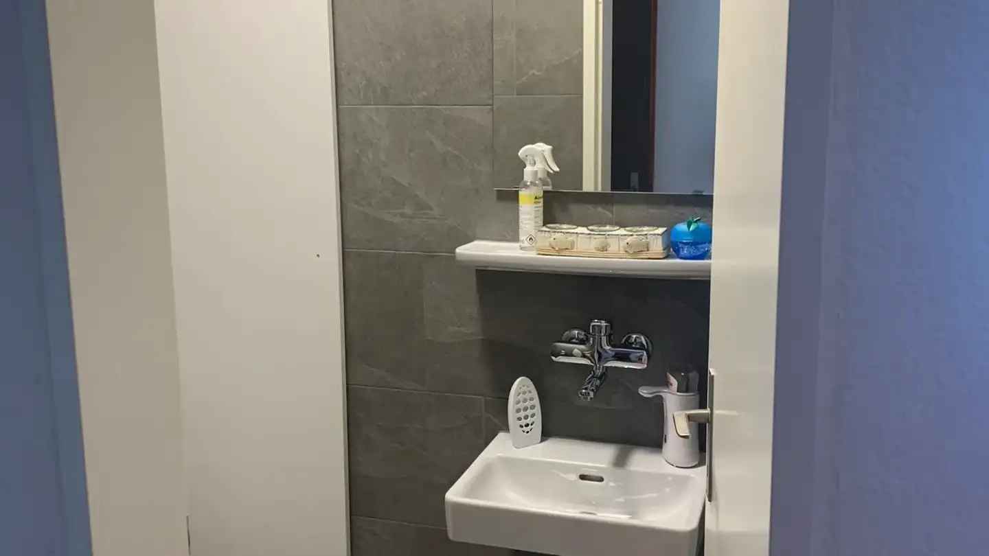 Appartement à louer - Im Ror 2, 8340 Hinwil - Photo 3