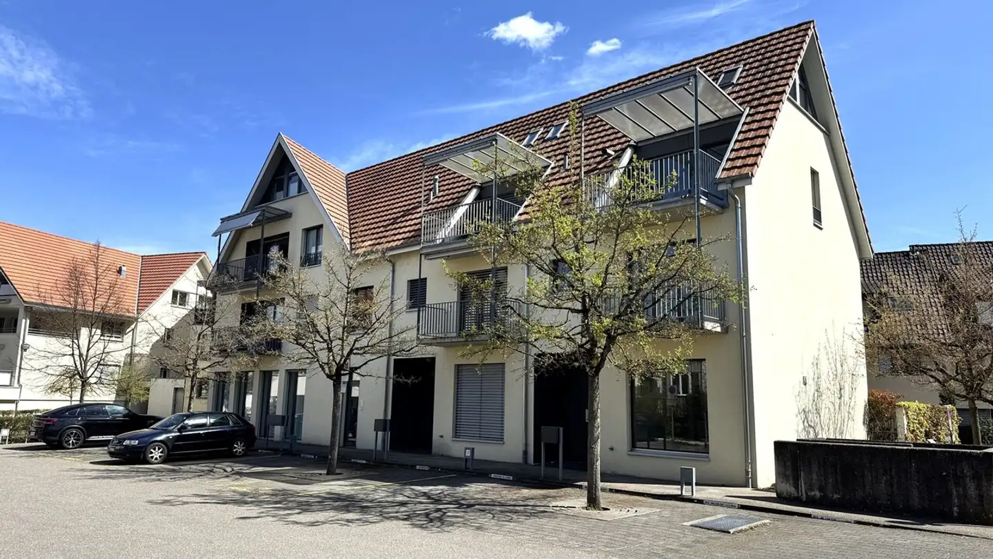 Maison individuelle à vendre - Tschöpperlistrasse 4, 4147 Aesch BL
