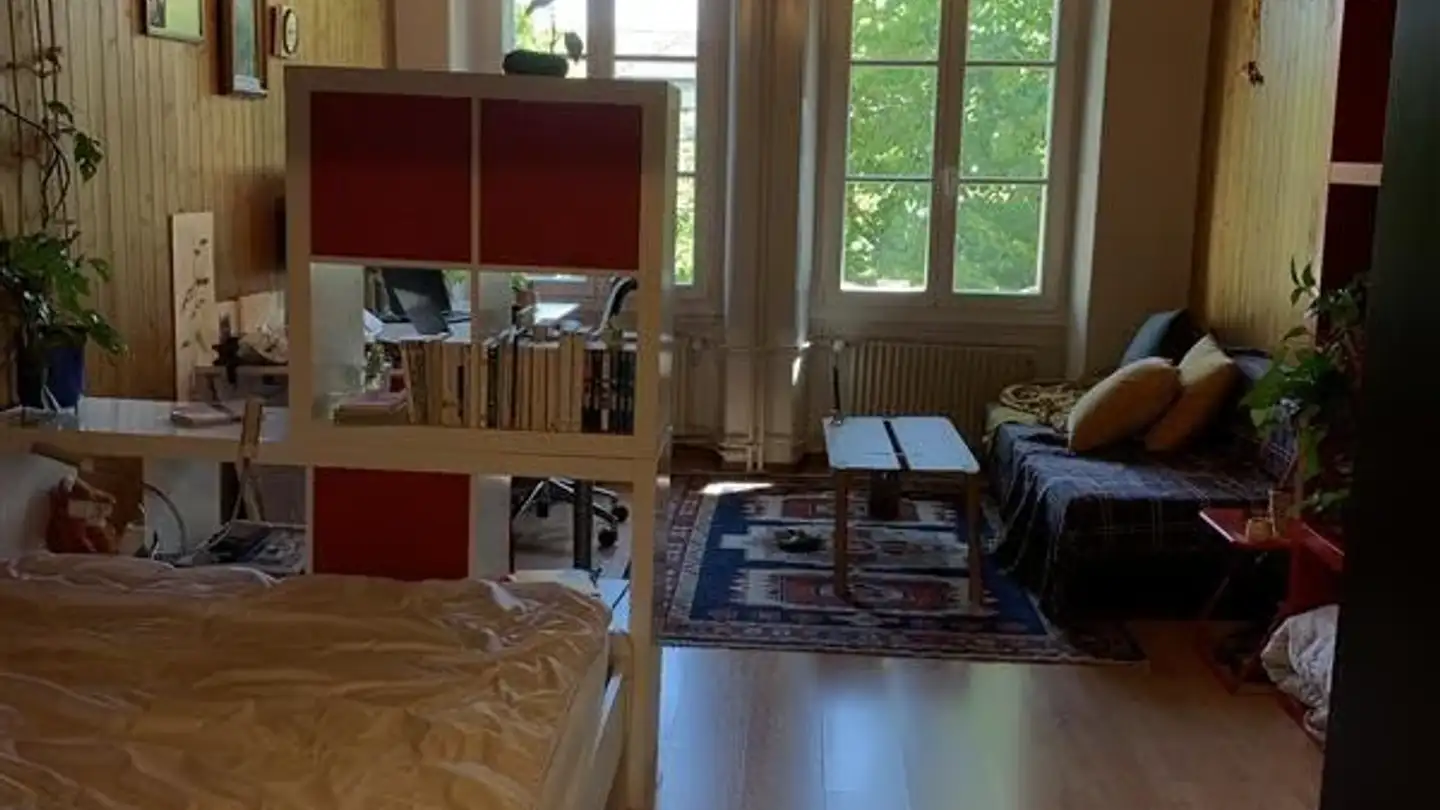 Appartement meublé à louer - Rue Pierre-Aeby 33, 1700 Fribourg - Photo 3