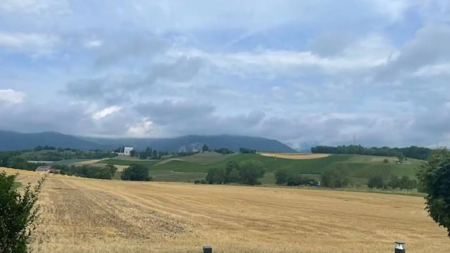 Appartamento in affitto - Rue Des Champs-Du-Pont 4, 1438 Mathod - Photo 4