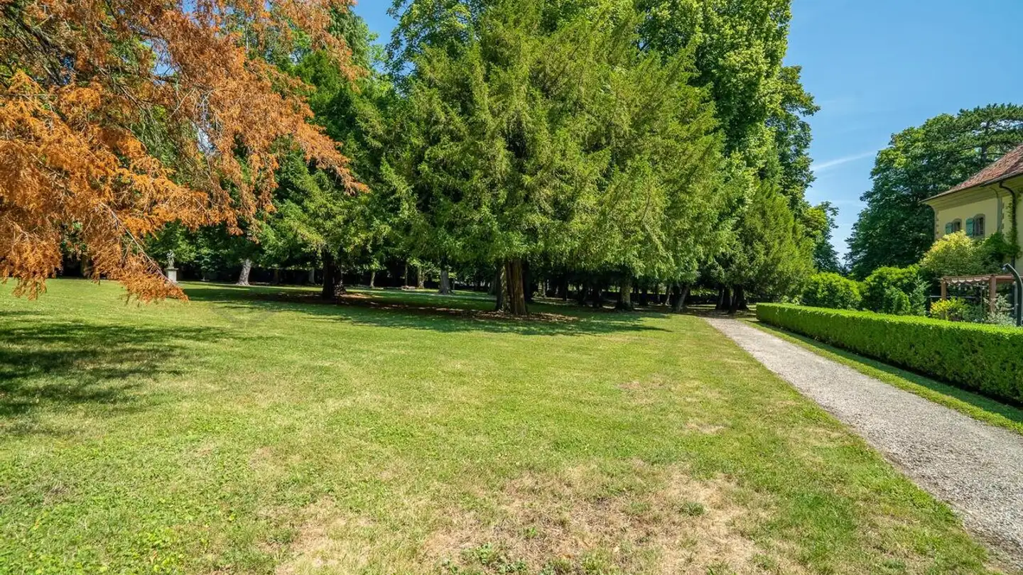 Appartamento in vendita - 1242 Satigny - Photo 3