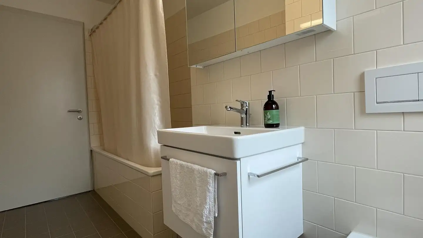 Chambre à louer - Badenerstrasse 710, 8048 Zürich - Photo 4