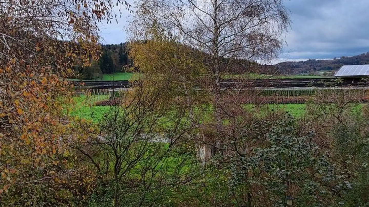 Appartamento in affitto - Im Leibüel 3, 8353 Elgg - Foto 3