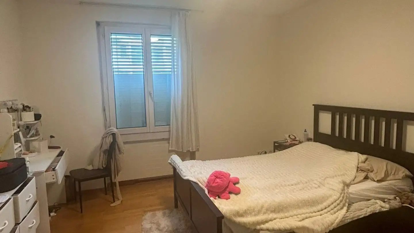 Stanza singola in affitto - 8052 Zürich