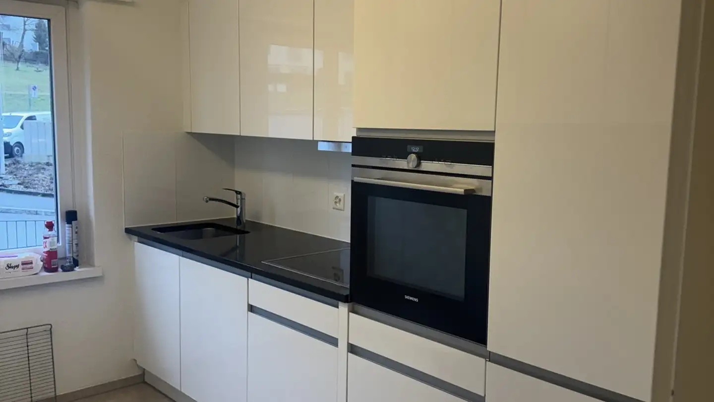 Appartamento in affitto - Käshaldenstrasse 41, 8052 Zürich