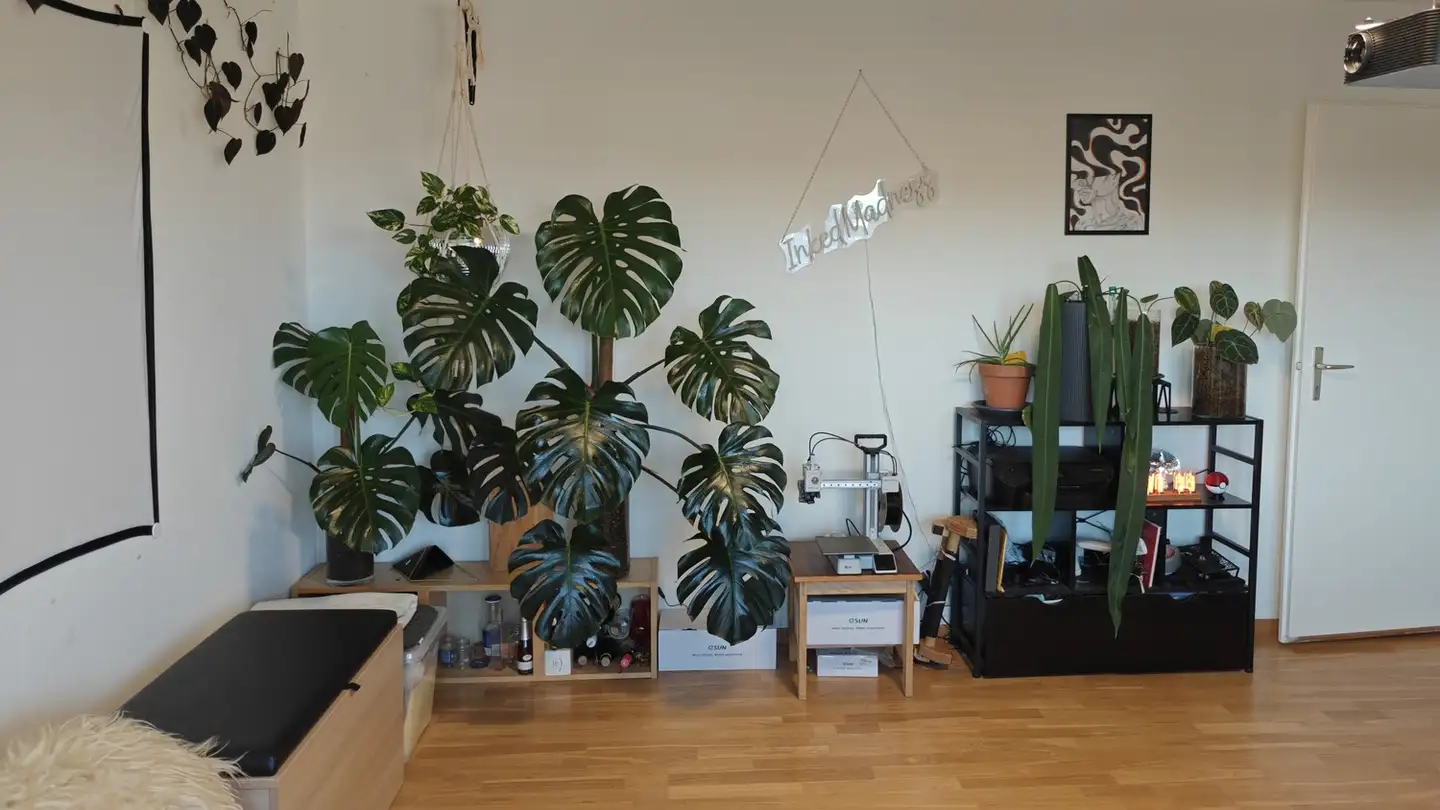 Appartamento in affitto - 8620 Wetzikon ZH - Foto 3