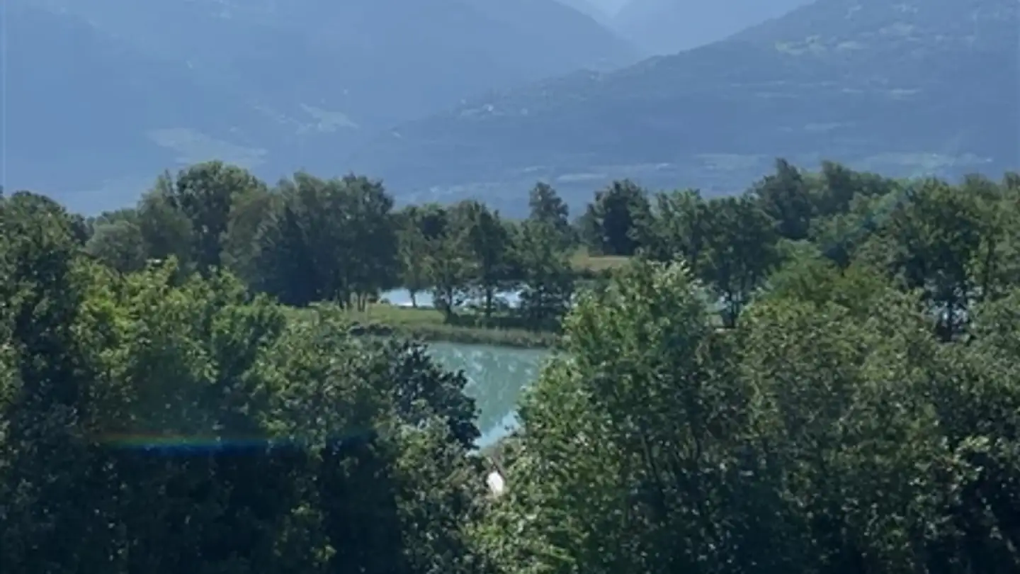 Wohnung kaufen - 1965 Savièse