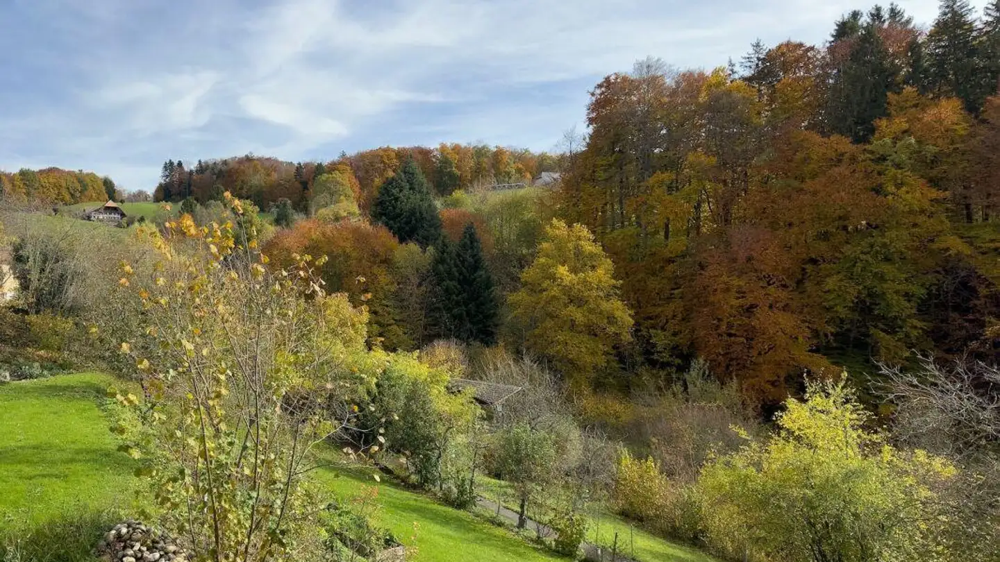Appartamento in vendita - Unterer Rainweg 26c, 3068 Utzigen - Foto 4