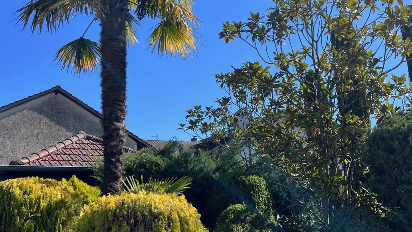 Appartamento in affitto - Route D' Ornex 50, 1239 Collex - Foto 4