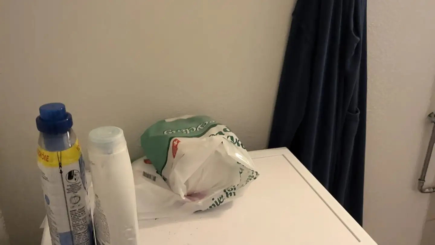 Chambre à louer - 8050 Zürich - Photo 3